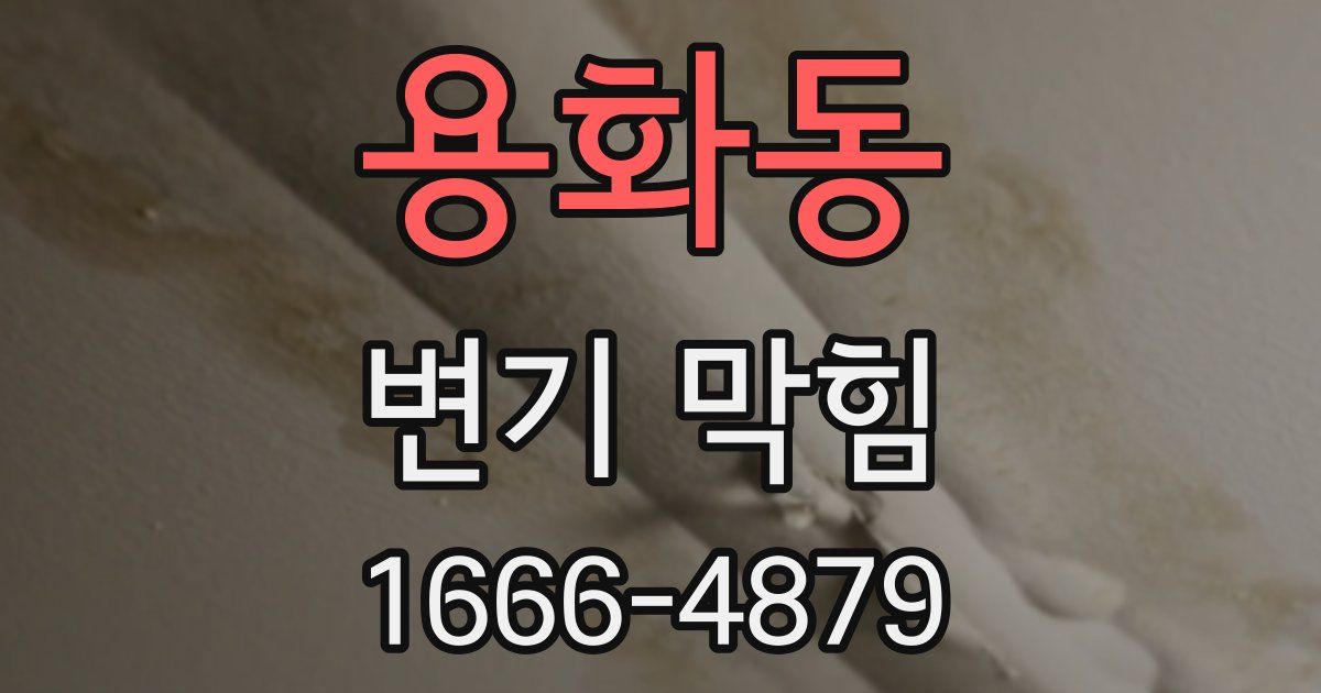 용화동 변기 막힘