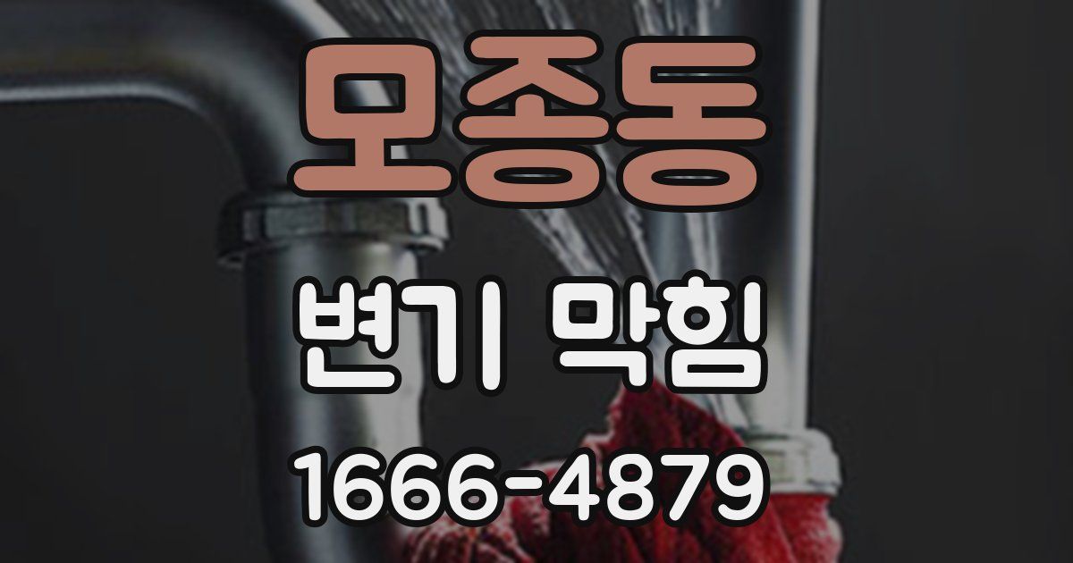 모종동 변기 막힘
