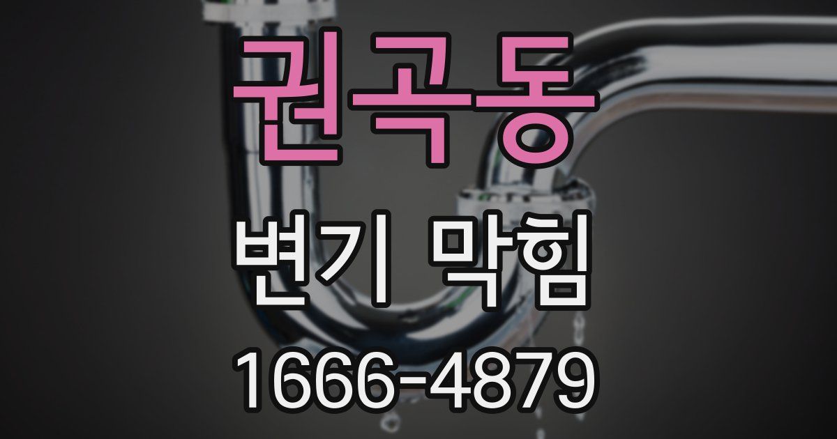 권곡동 변기 막힘