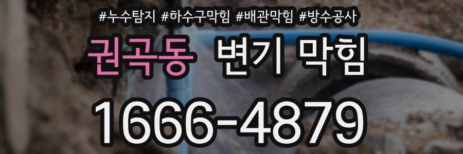 권곡동 변기 막힘