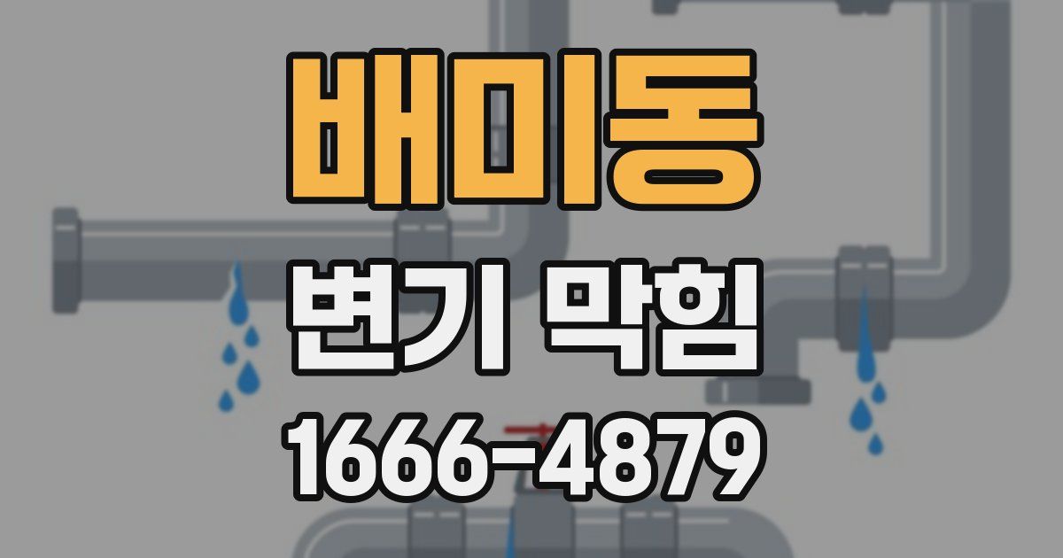 배미동 변기 막힘