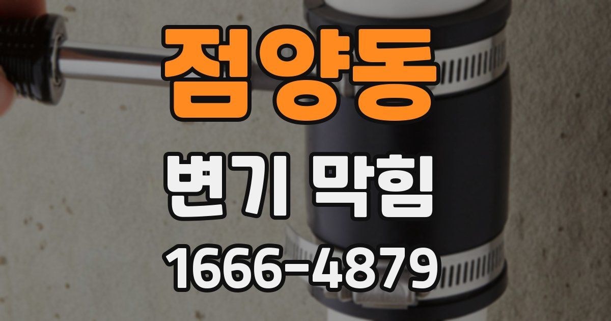 점양동 변기 막힘