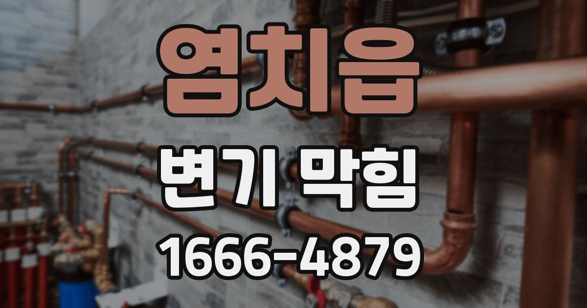 염치읍 변기 막힘