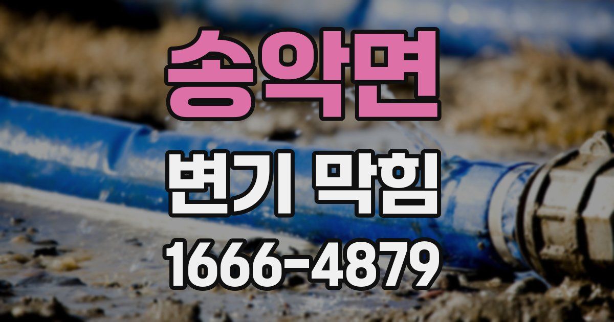 송악면 변기 막힘