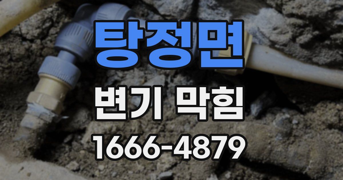 탕정면 변기 막힘