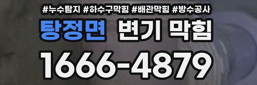 탕정면 변기 막힘