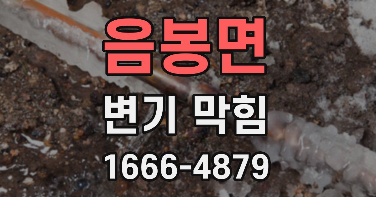 음봉면 변기 막힘