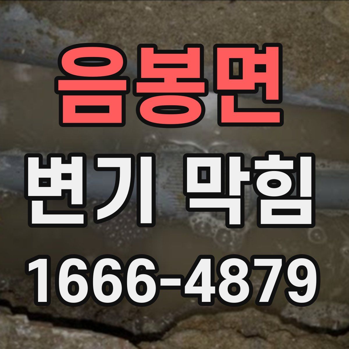 음봉면 변기 막힘