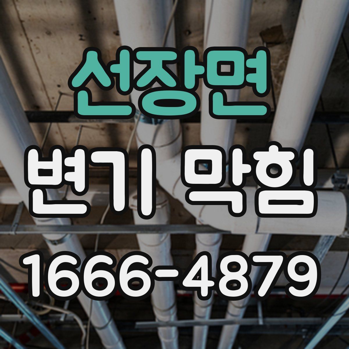 선장면 변기 막힘