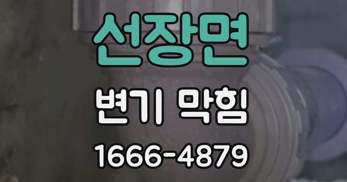 선장면 변기 막힘