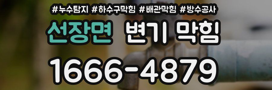 선장면 변기 막힘