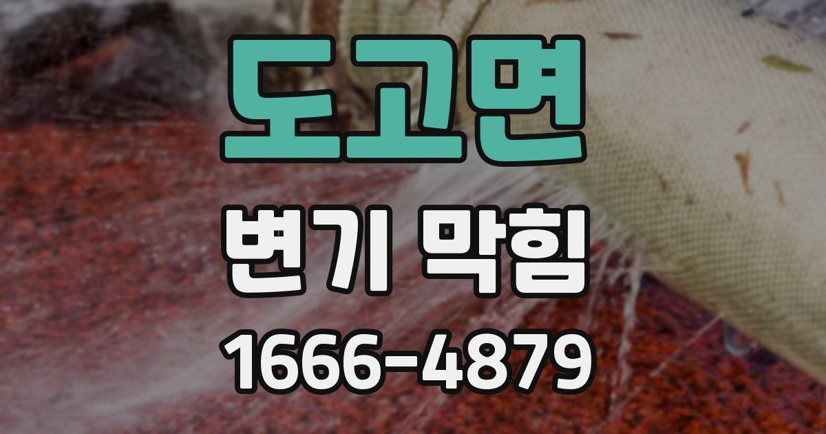 도고면 변기 막힘