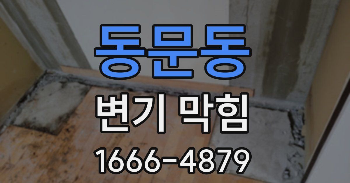 동문동 변기 막힘