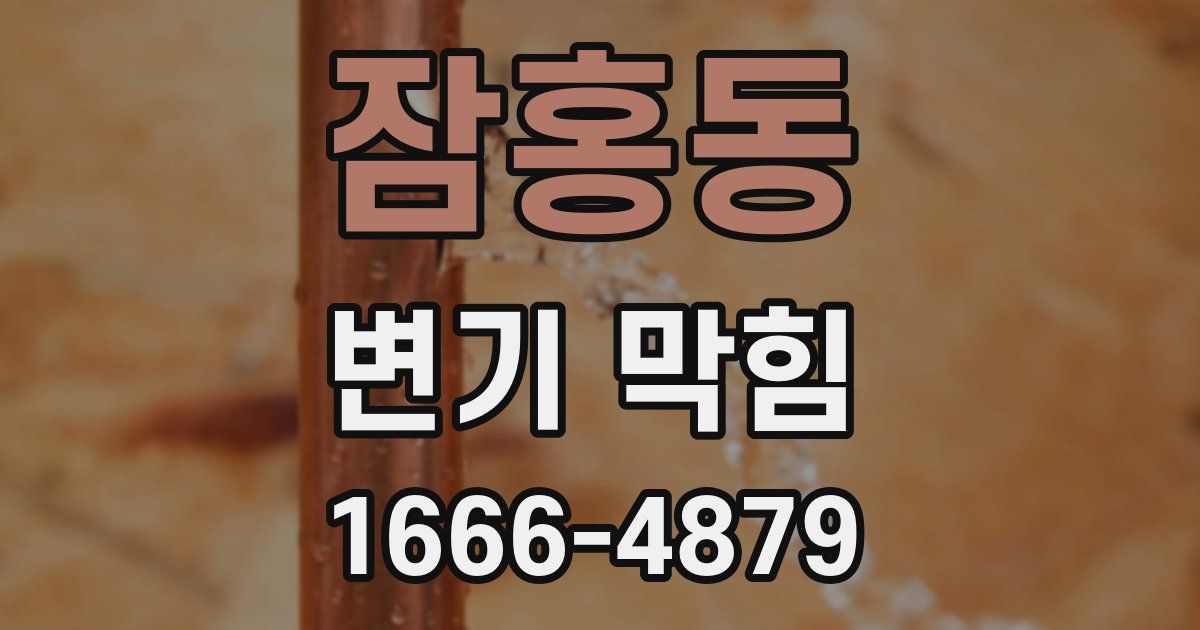 잠홍동 변기 막힘