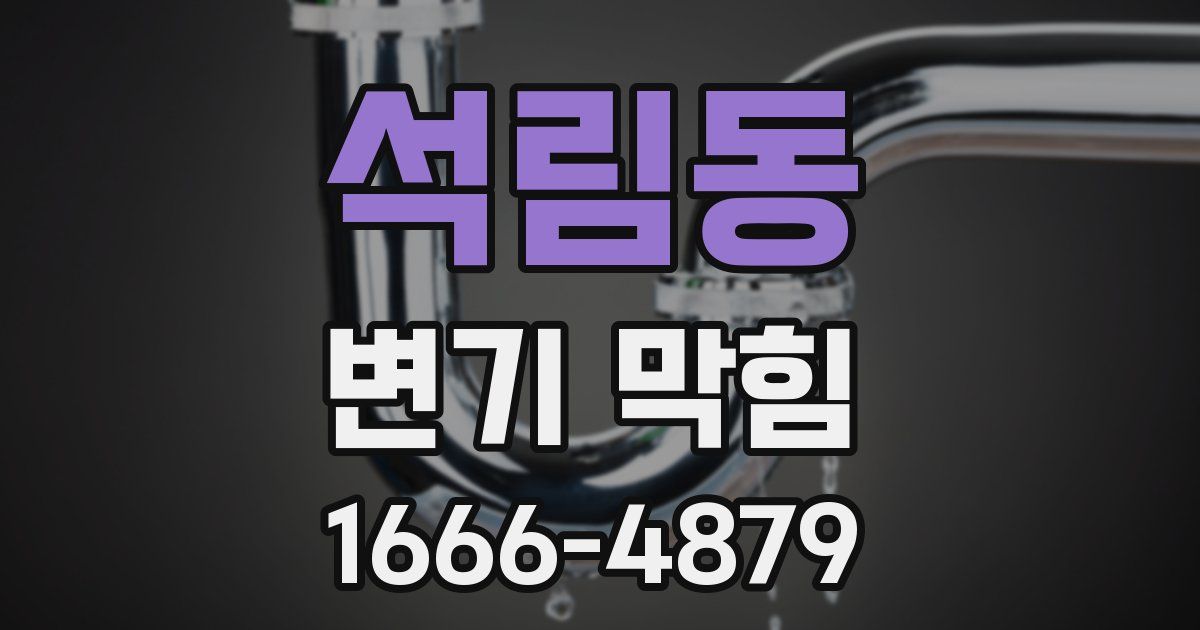 석림동 변기 막힘