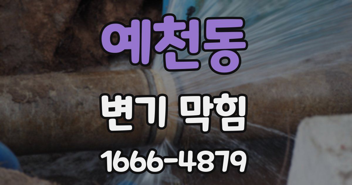 예천동 변기 막힘