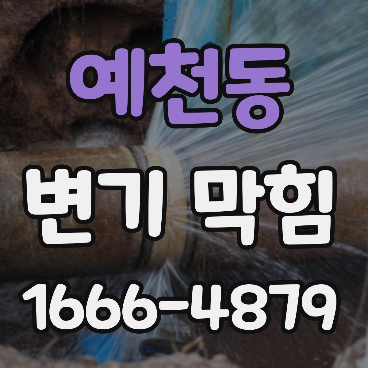 예천동 변기 막힘