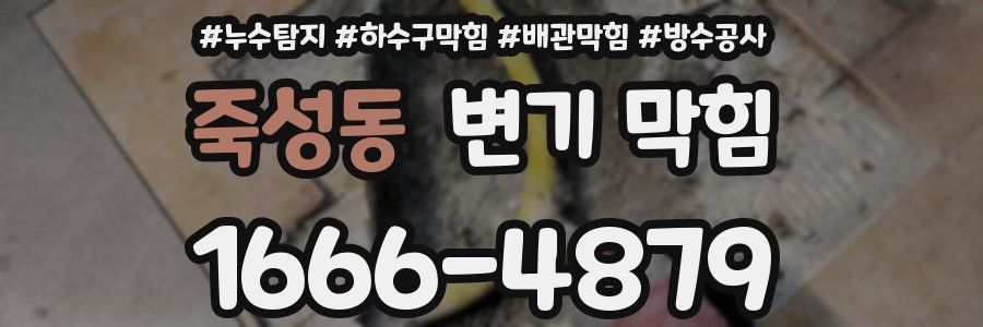 죽성동 변기 막힘