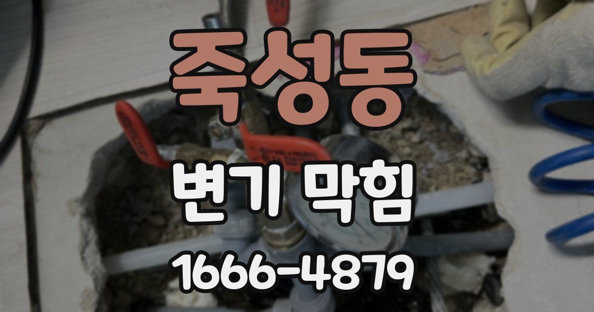 죽성동 변기 막힘