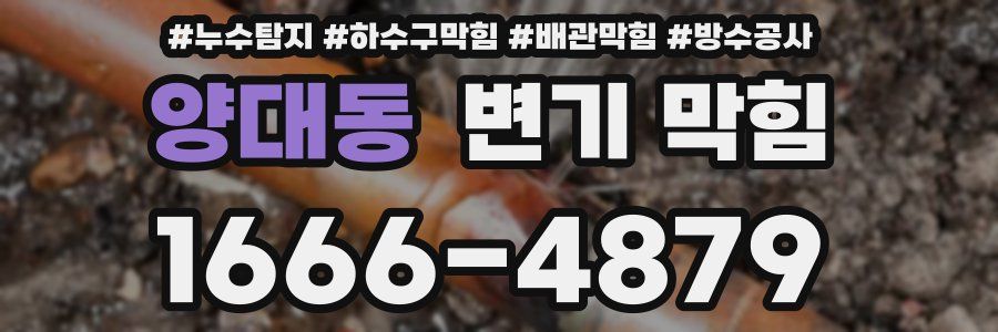 양대동 변기 막힘