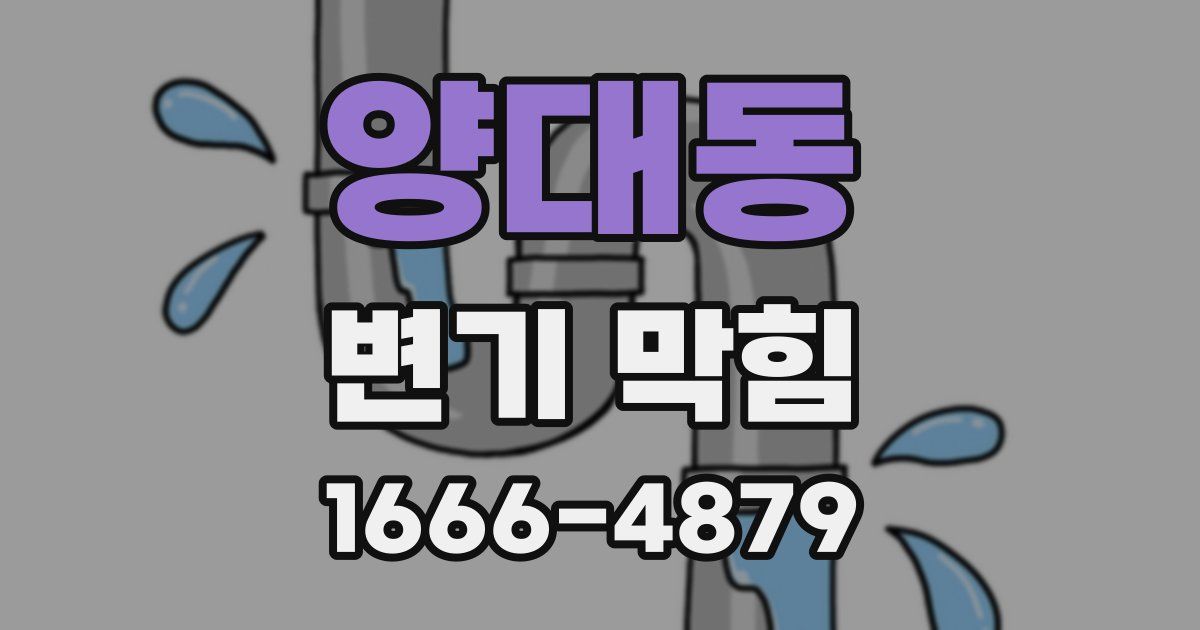 양대동 변기 막힘