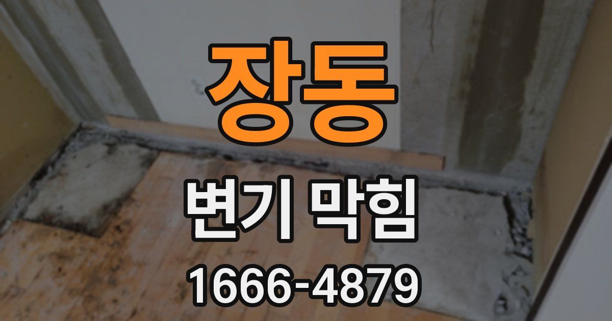 장동 변기 막힘