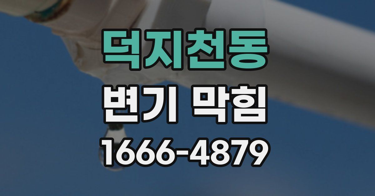 덕지천동 변기 막힘