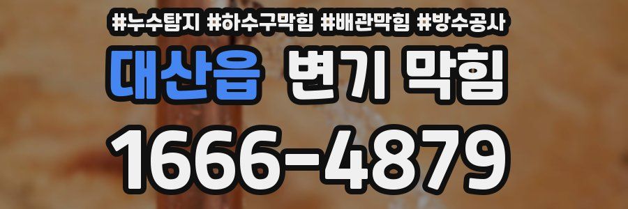 대산읍 변기 막힘