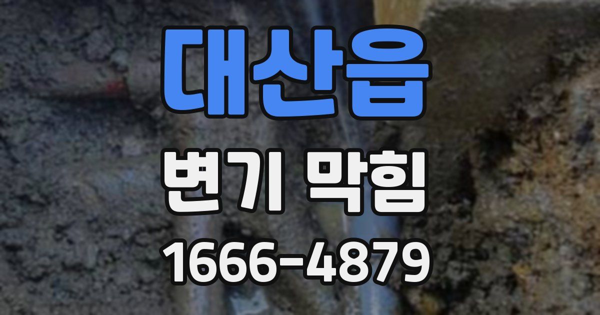 대산읍 변기 막힘