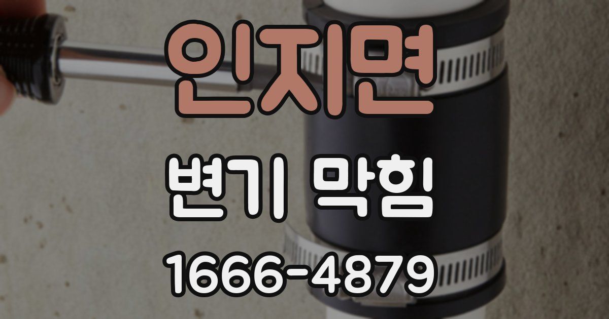 인지면 변기 막힘
