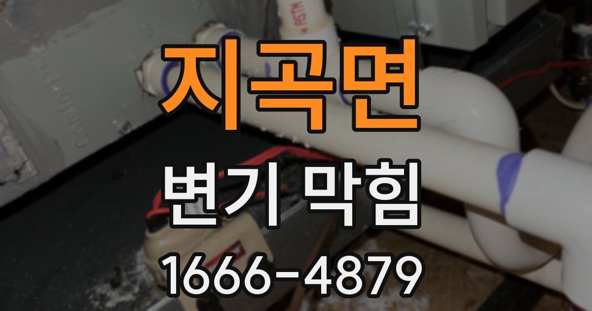 지곡면 변기 막힘
