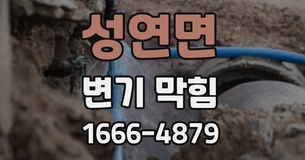 성연면 변기 막힘