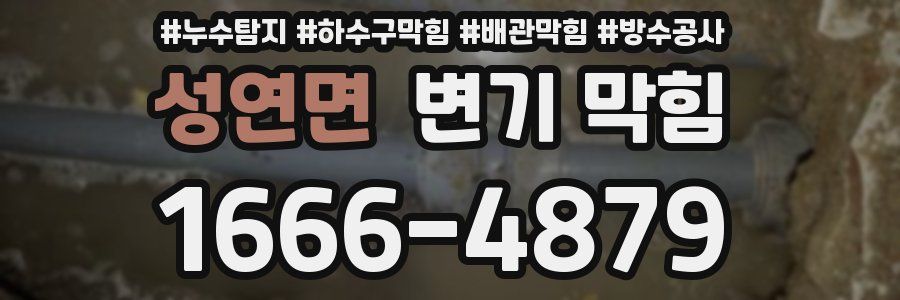 성연면 변기 막힘
