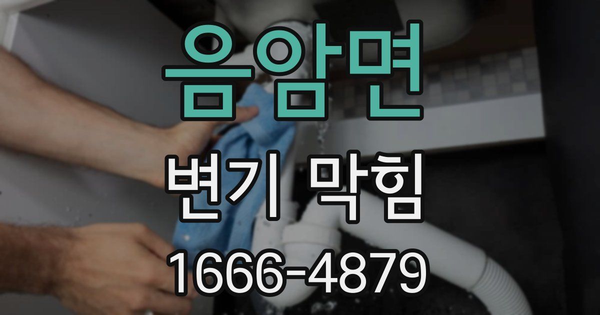 음암면 변기 막힘