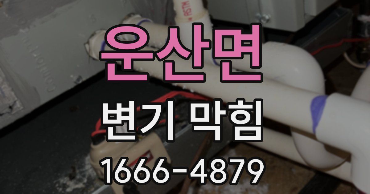 운산면 변기 막힘