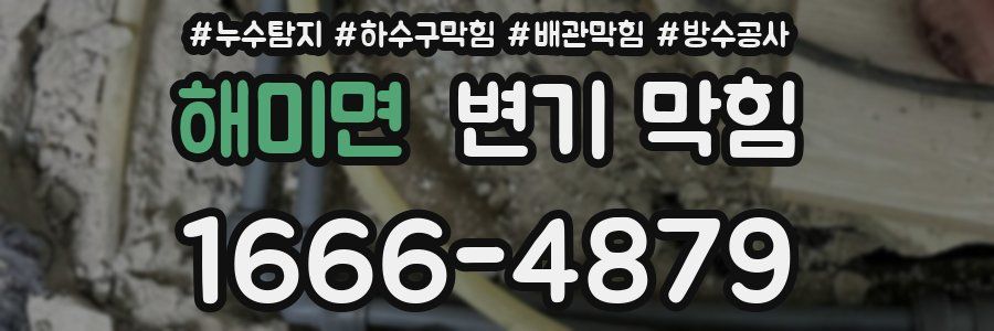 해미면 변기 막힘