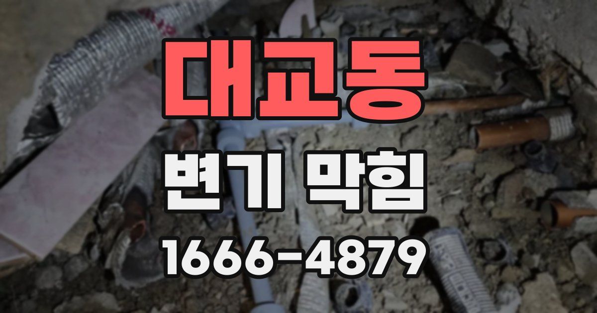 대교동 변기 막힘