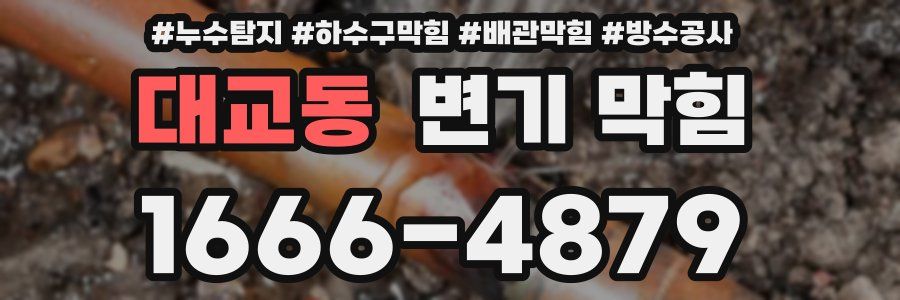 대교동 변기 막힘