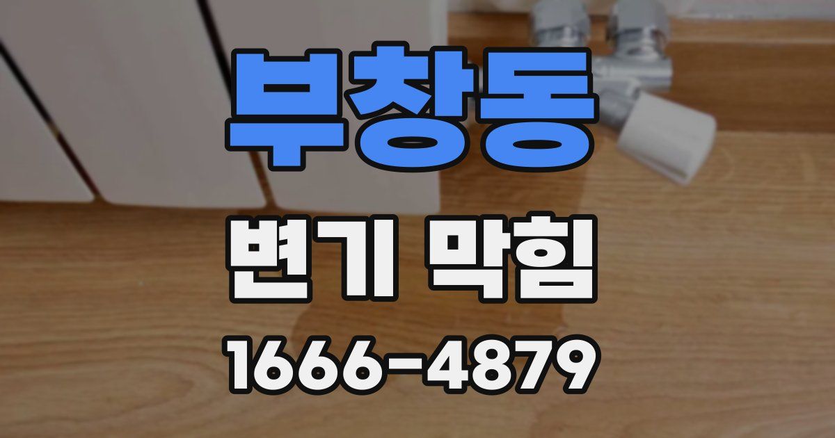 부창동 변기 막힘