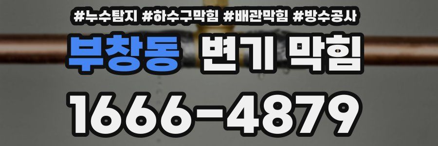 부창동 변기 막힘