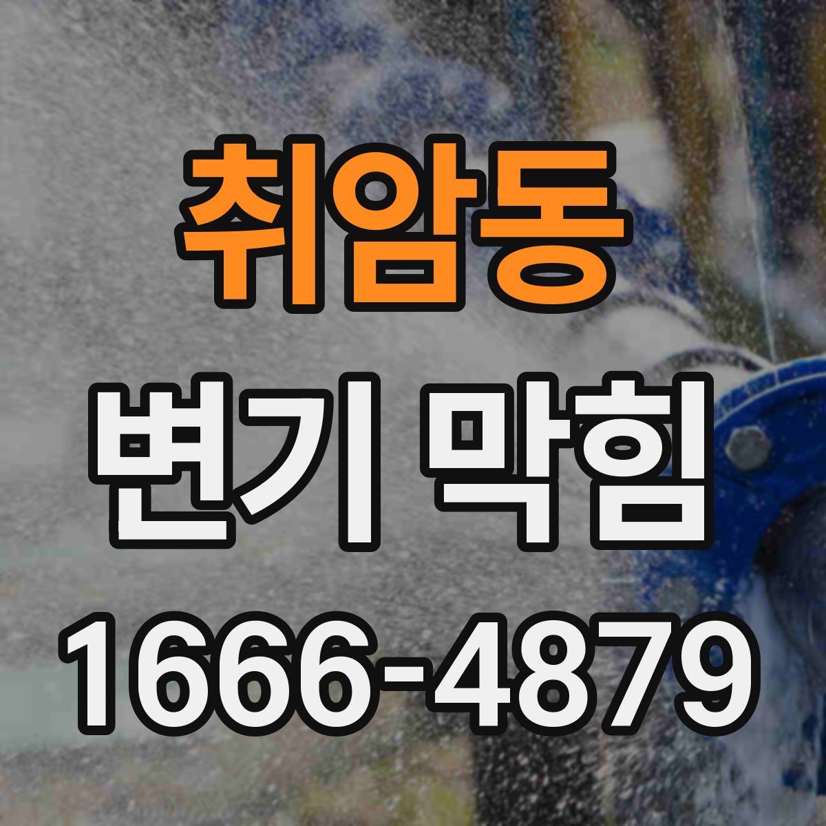 취암동 변기 막힘