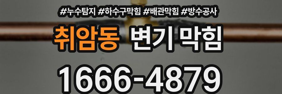 취암동 변기 막힘