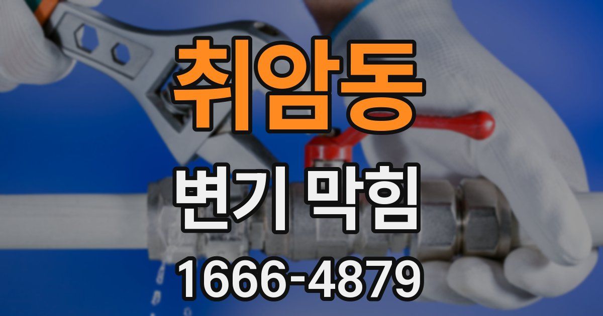 취암동 변기 막힘