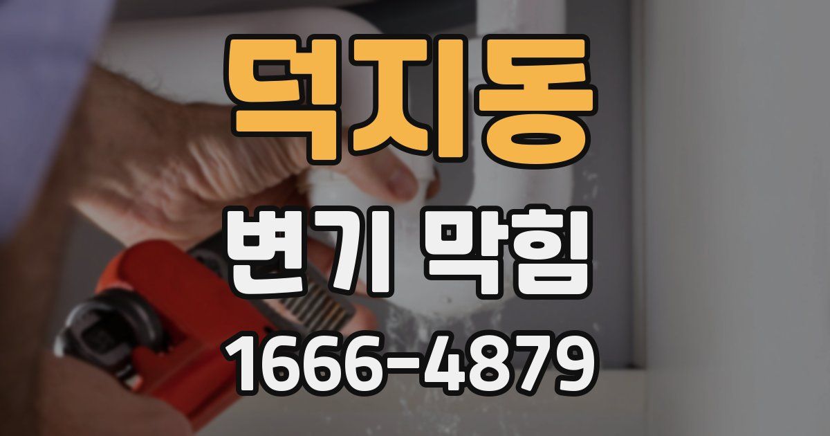 덕지동 변기 막힘