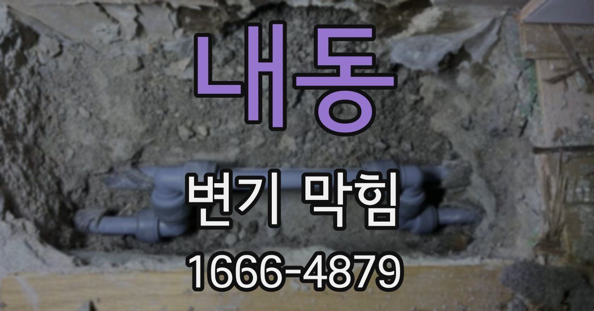 내동 변기 막힘