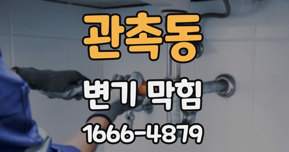 관촉동 변기 막힘