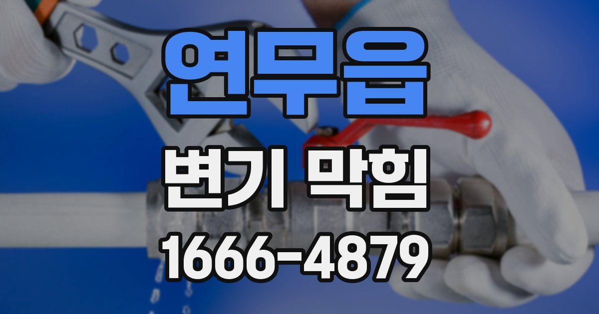 연무읍 변기 막힘