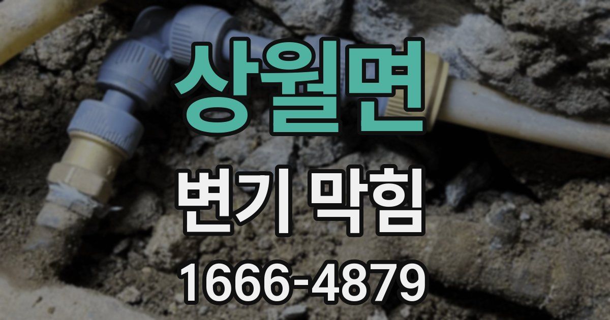 상월면 변기 막힘