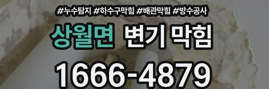 상월면 변기 막힘