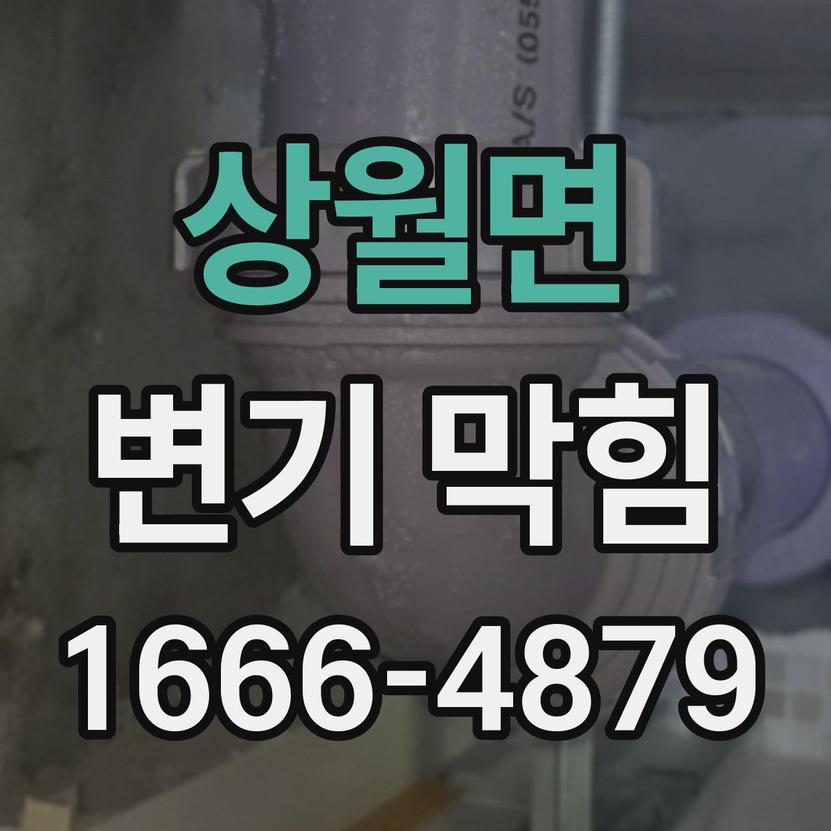 상월면 변기 막힘